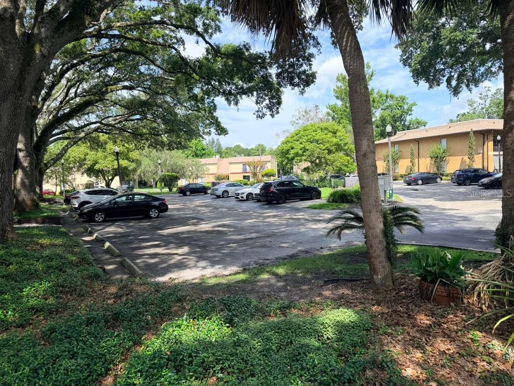 80 Moree Loop #9 Winter Springs FL 32708 O6412937 image5