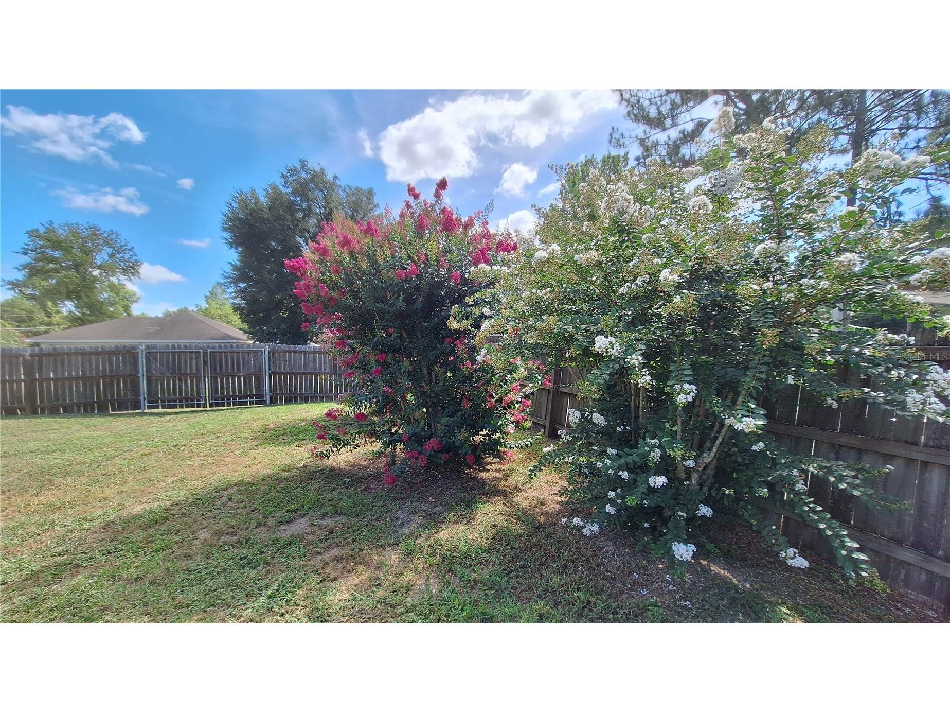 80 Pecan Pass Ocala FL 34472 OM727830 image29