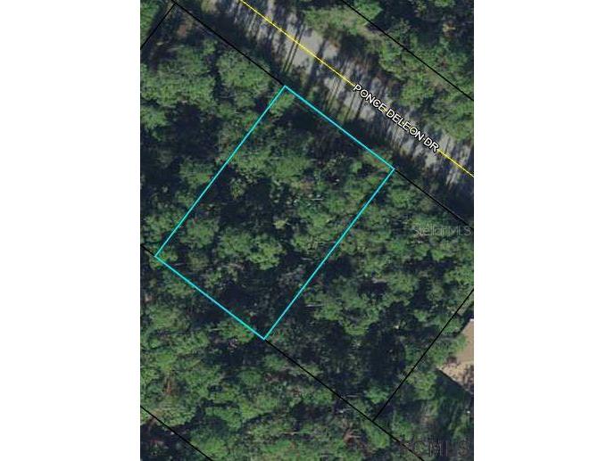 80 Ponce De Leon Drive Palm Coast FL 32164 FC276474 image2