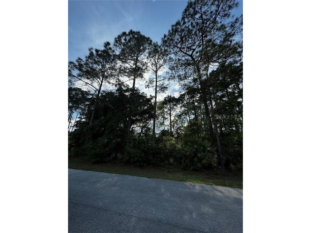 80 Port Royal Drive Palm Coast FL 32164 FC299190 image1