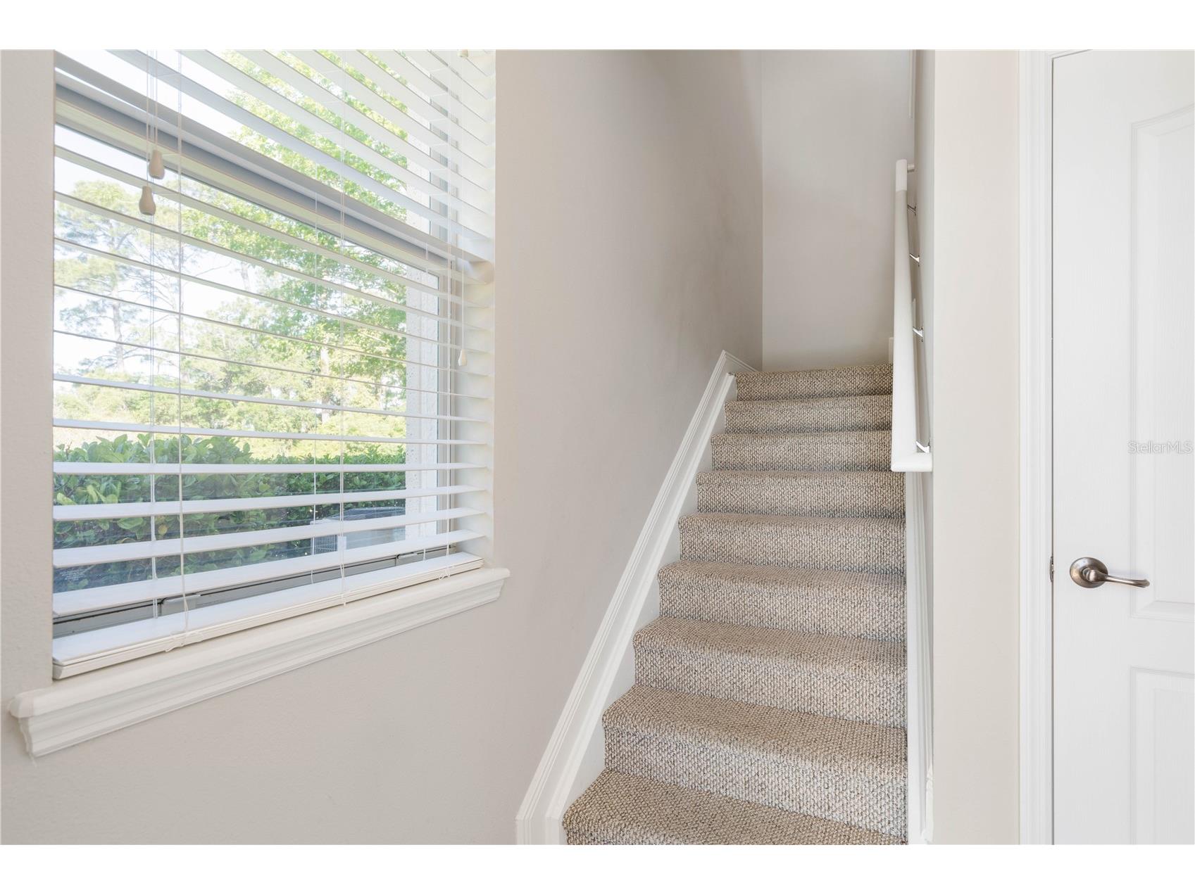 80 Riverview Bend S #821 Palm Coast FL 32137 FC318427 image10