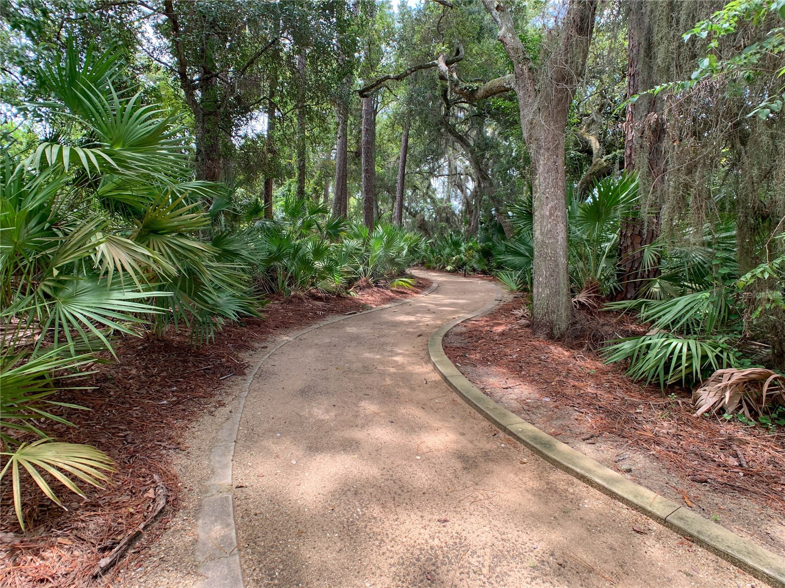 80 Riverview Bend S #821 Palm Coast FL 32137 FC318427 image82