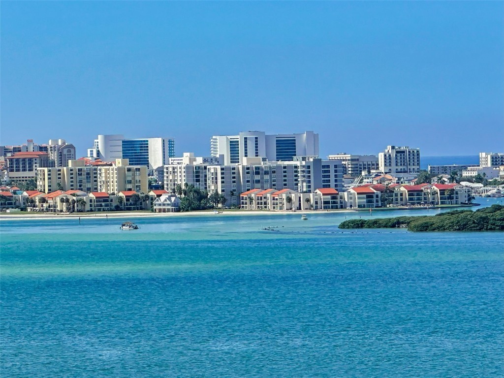 80 Rogers Street #10A Clearwater FL 33756 TB8440478 image12