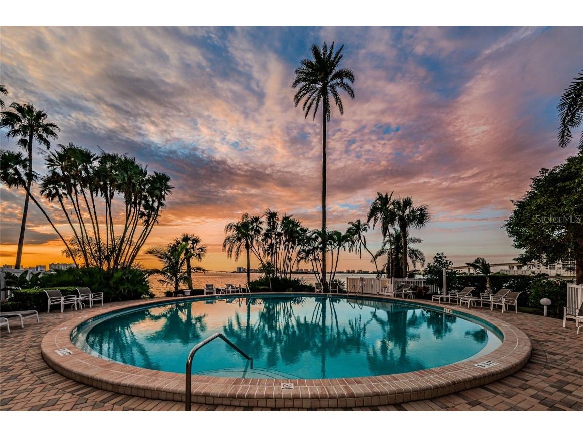 80 Rogers Street #10A Clearwater FL 33756 TB8440478 image31