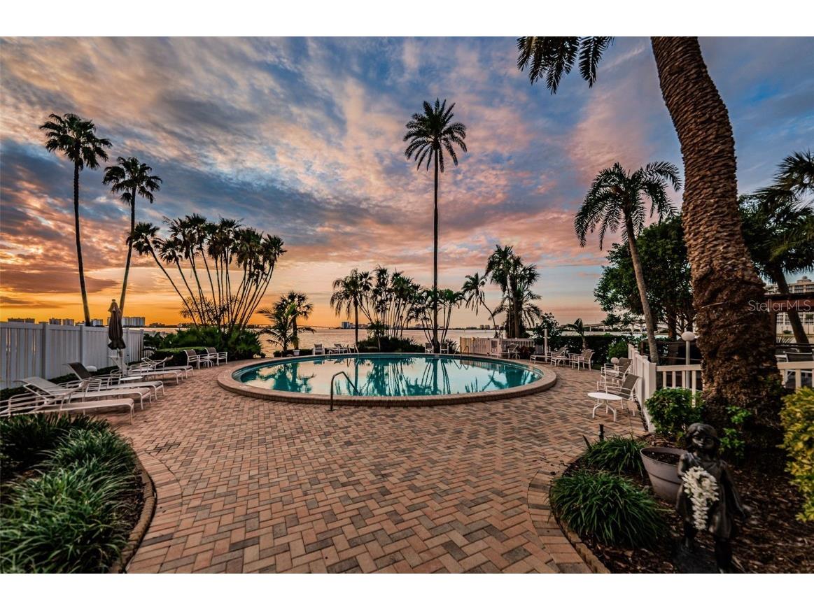 80 Rogers Street #10A Clearwater FL 33756 TB8440478 image35