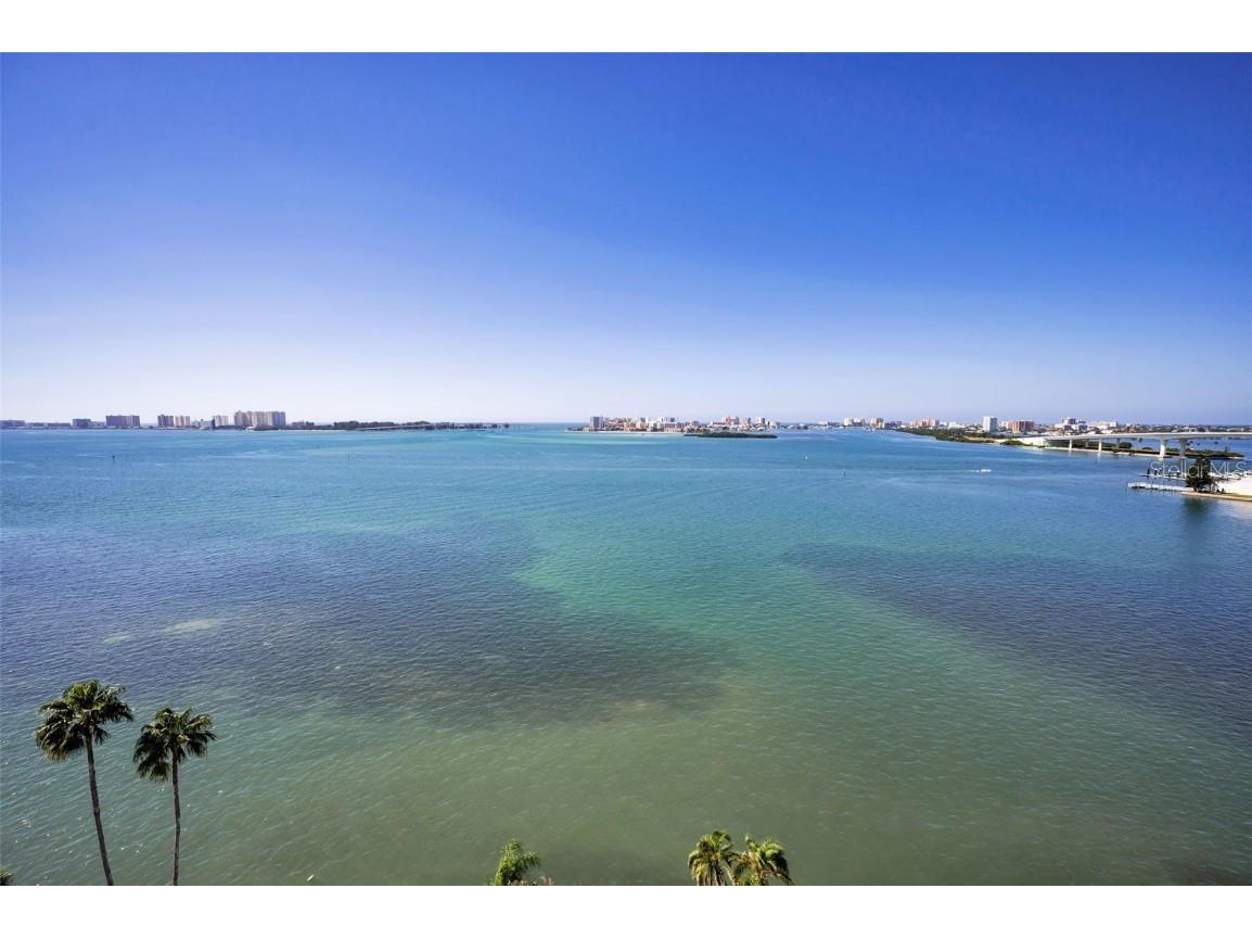 80 Rogers Street #10A Clearwater FL 33756 TB8440478 image6