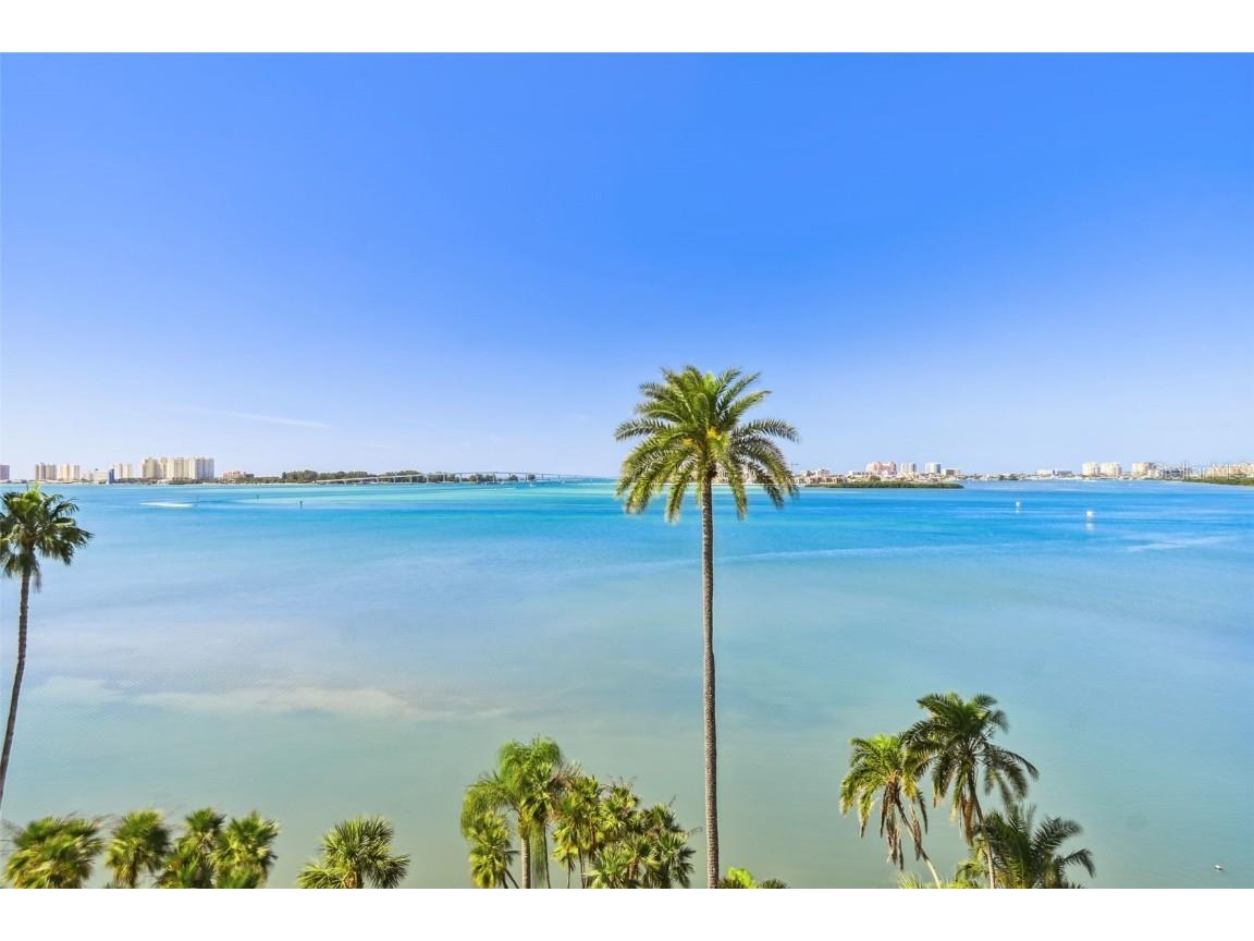 80 Rogers Street #2B Clearwater FL 33756 U8191267 image1