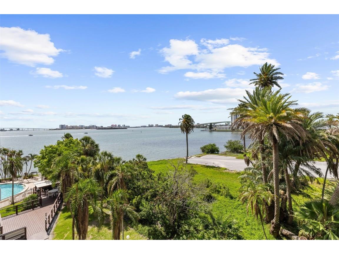 80 Rogers Street #2D Clearwater FL 33756 TB8396243 image37