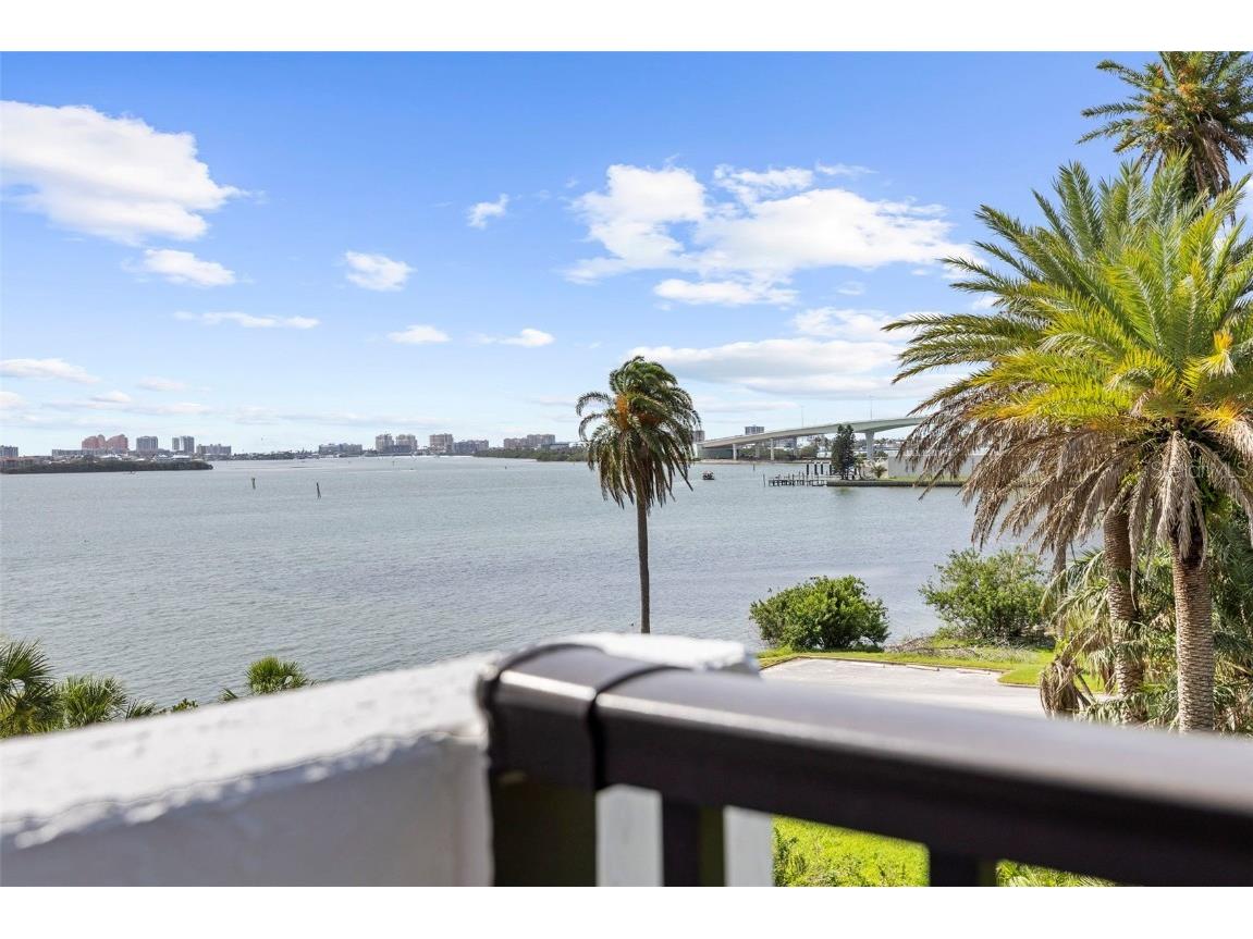 80 Rogers Street #2D Clearwater FL 33756 TB8396243 image41