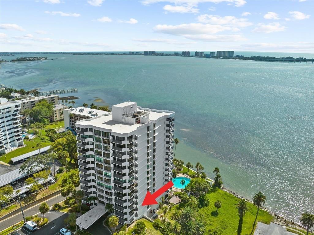 80 Rogers Street #2D Clearwater FL 33756 TB8396243 image43