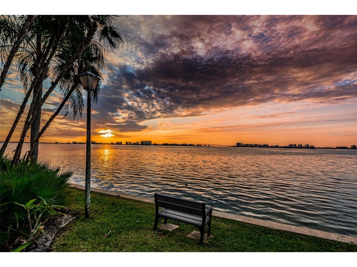 80 Rogers Street #9C Clearwater FL 33756 TB8448112 image52