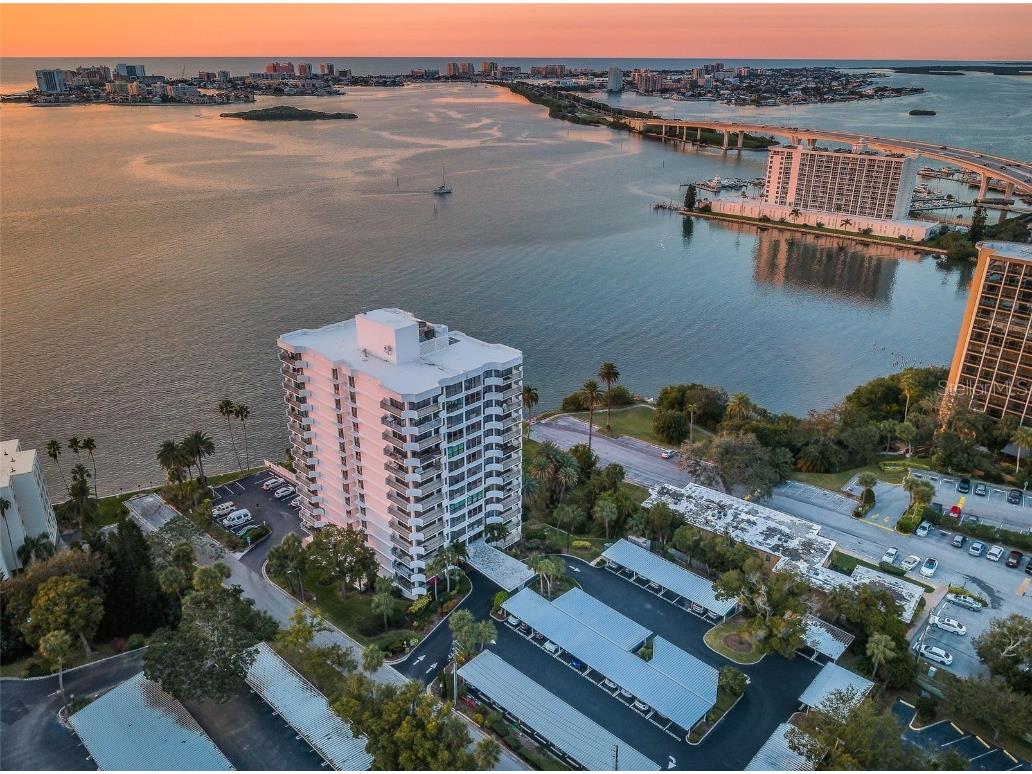 80 Rogers Street #9C Clearwater FL 33756 TB8448112 image53