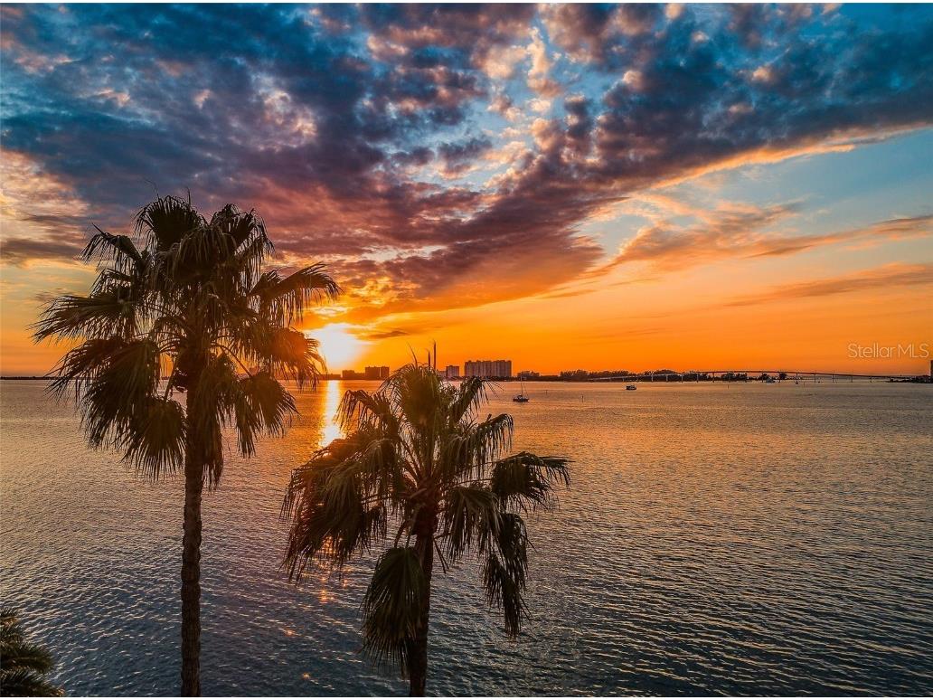 80 Rogers Street #9C Clearwater FL 33756 TB8448112 image56