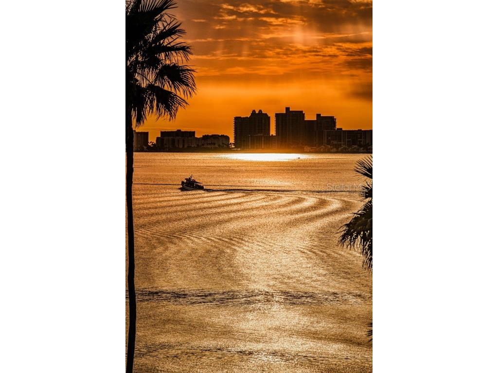 80 Rogers Street #9C Clearwater FL 33756 TB8448112 image57