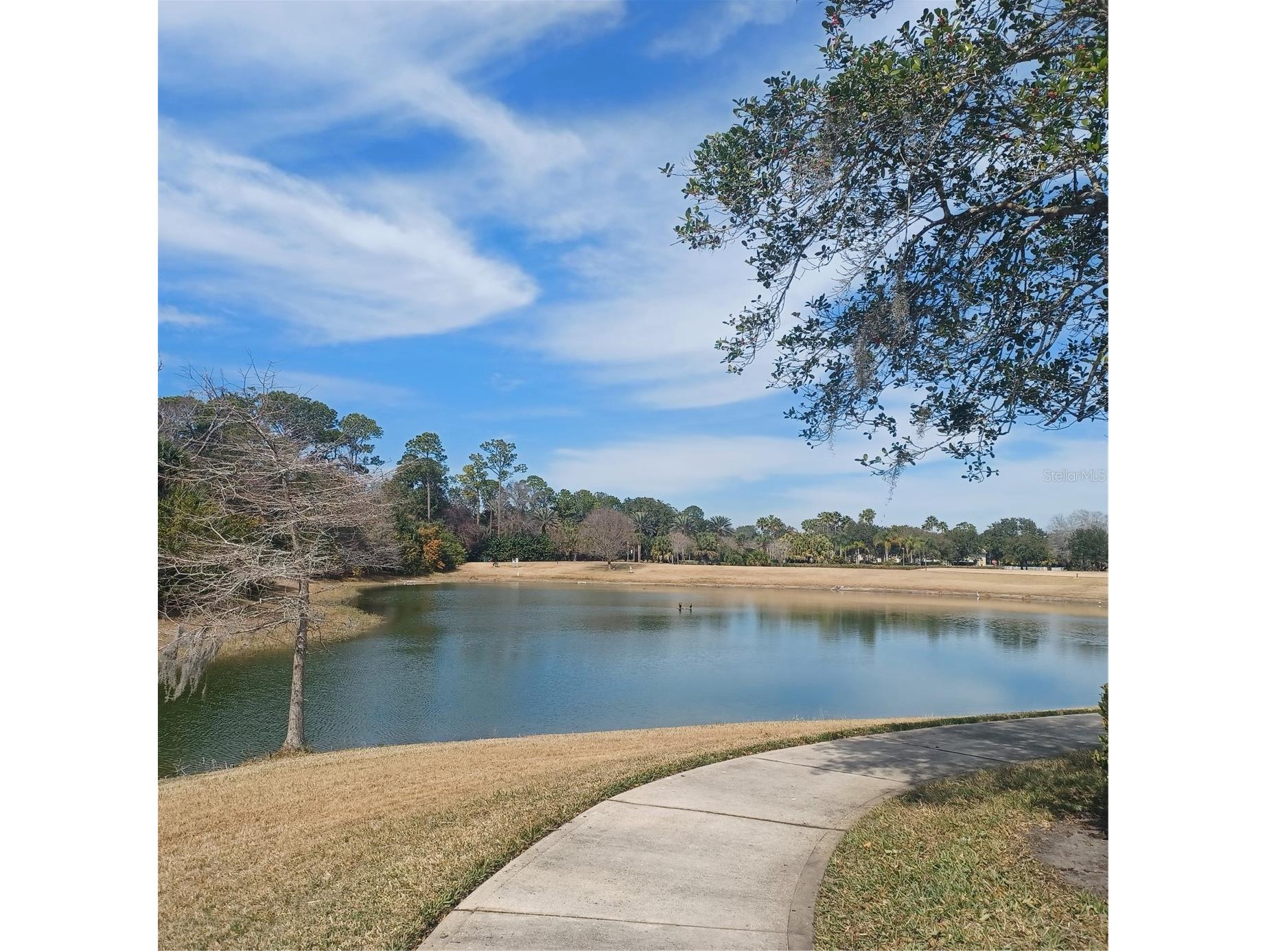 80 S Riverview Bend S #822 Palm Coast FL 32137 FC315853 image24