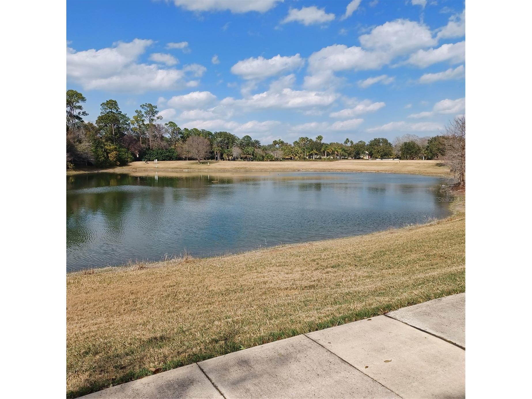 80 S Riverview Bend S #822 Palm Coast FL 32137 FC315853 image30