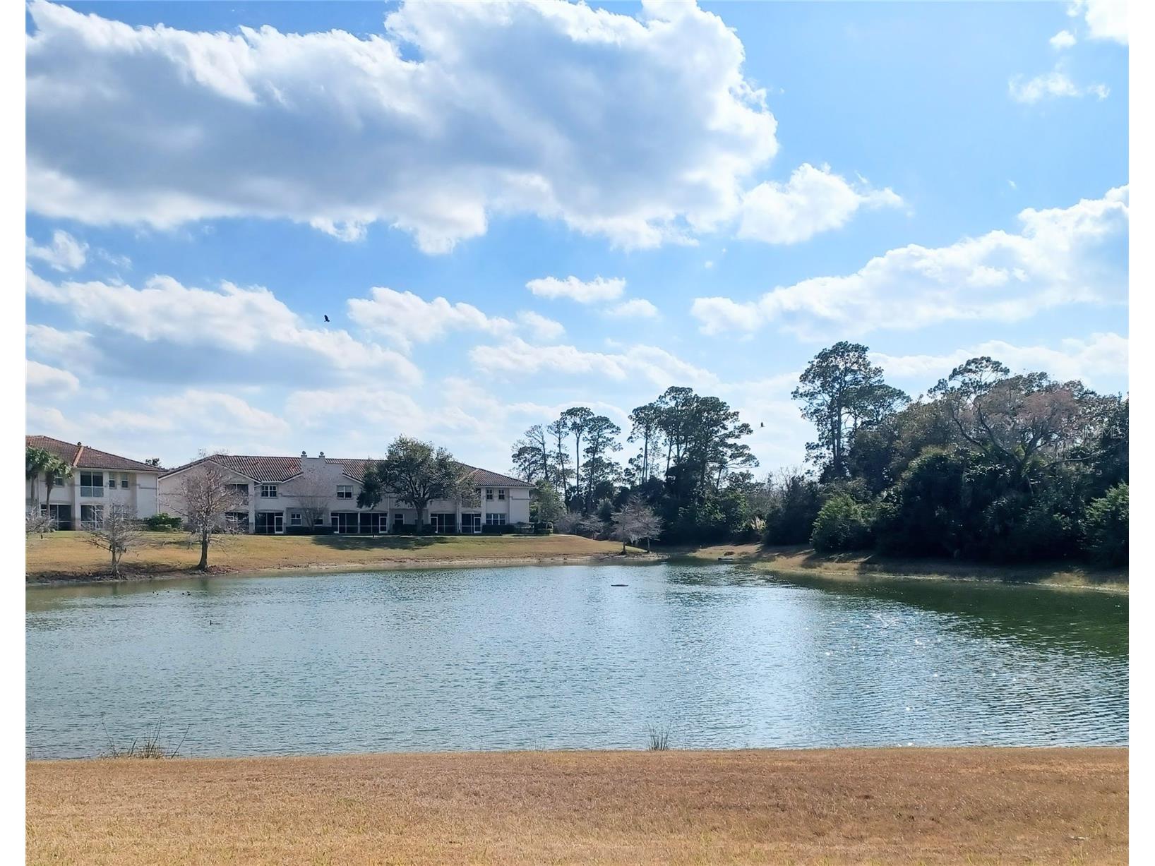 80 S Riverview Bend S #822 Palm Coast FL 32137 FC315853 image31