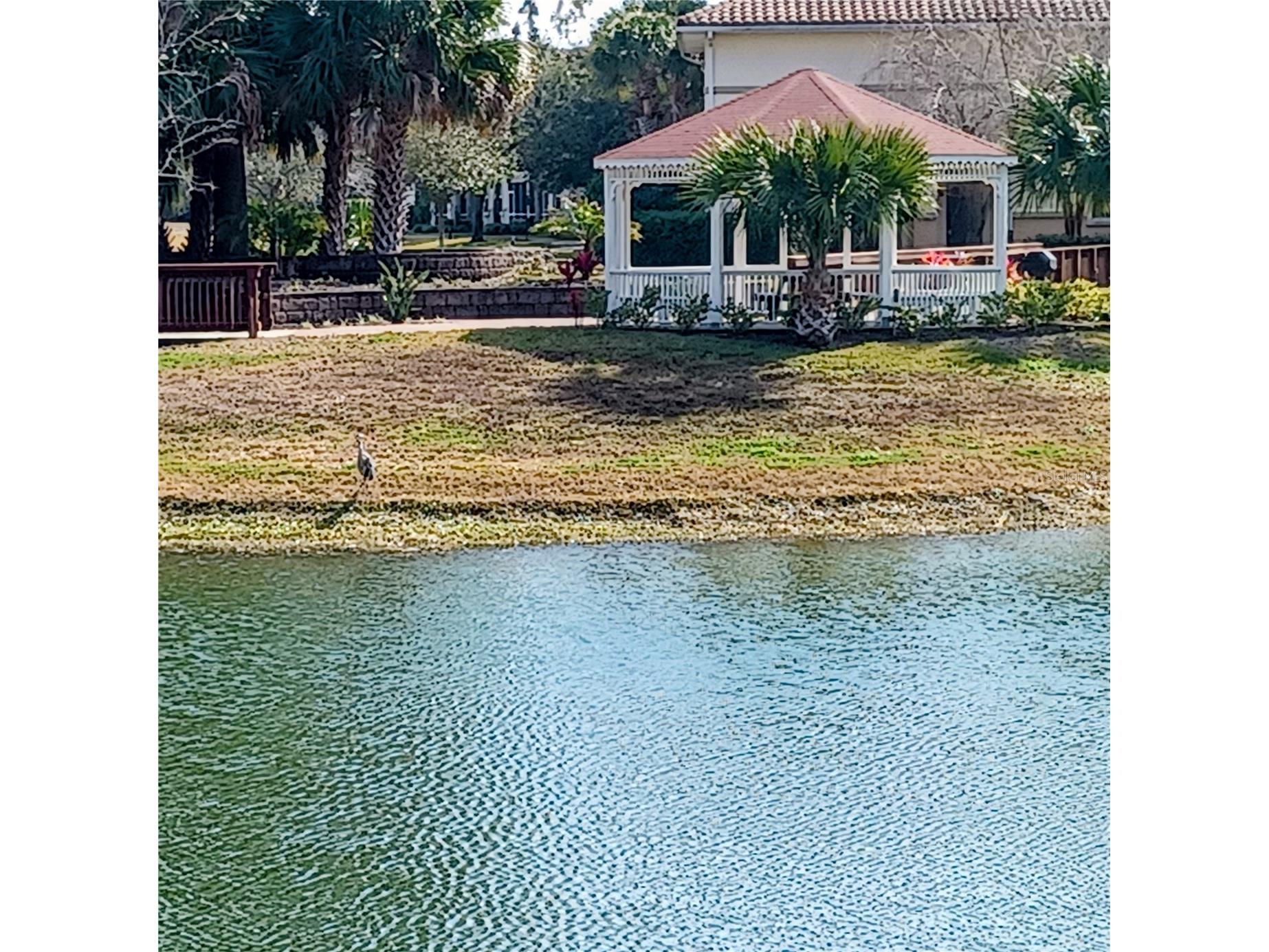 80 S Riverview Bend S #822 Palm Coast FL 32137 FC315853 image35