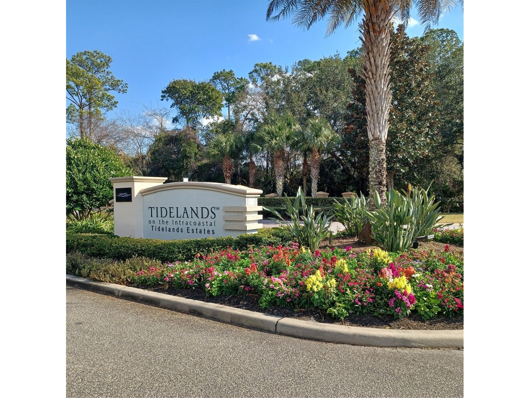 80 S Riverview Bend S #822 Palm Coast FL 32137 FC315853 image36