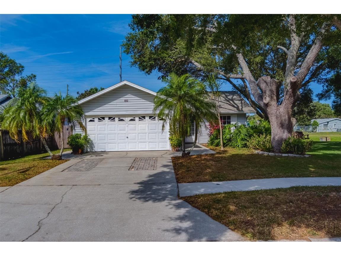 80 Squire Court Dunedin FL 34698 U8194602 image1