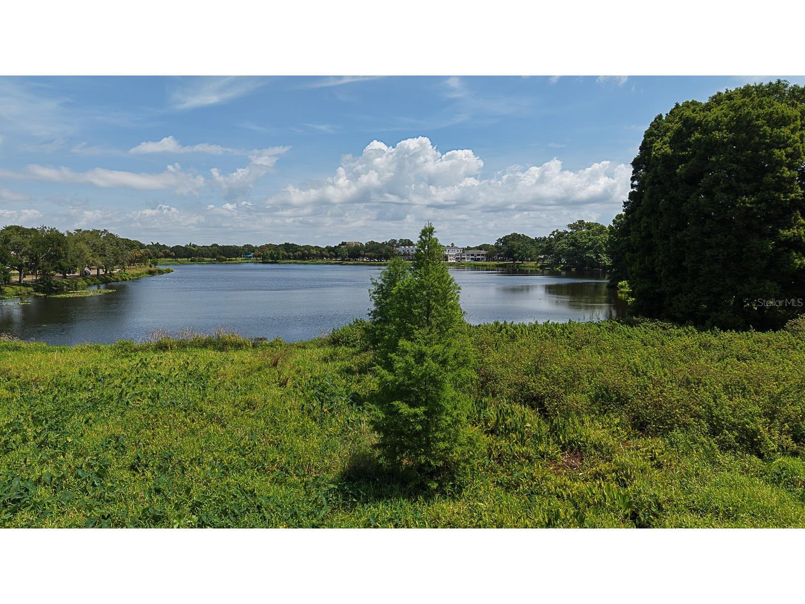 800 18th Avenue N Saint Petersburg FL 33704 TB8481065 image79