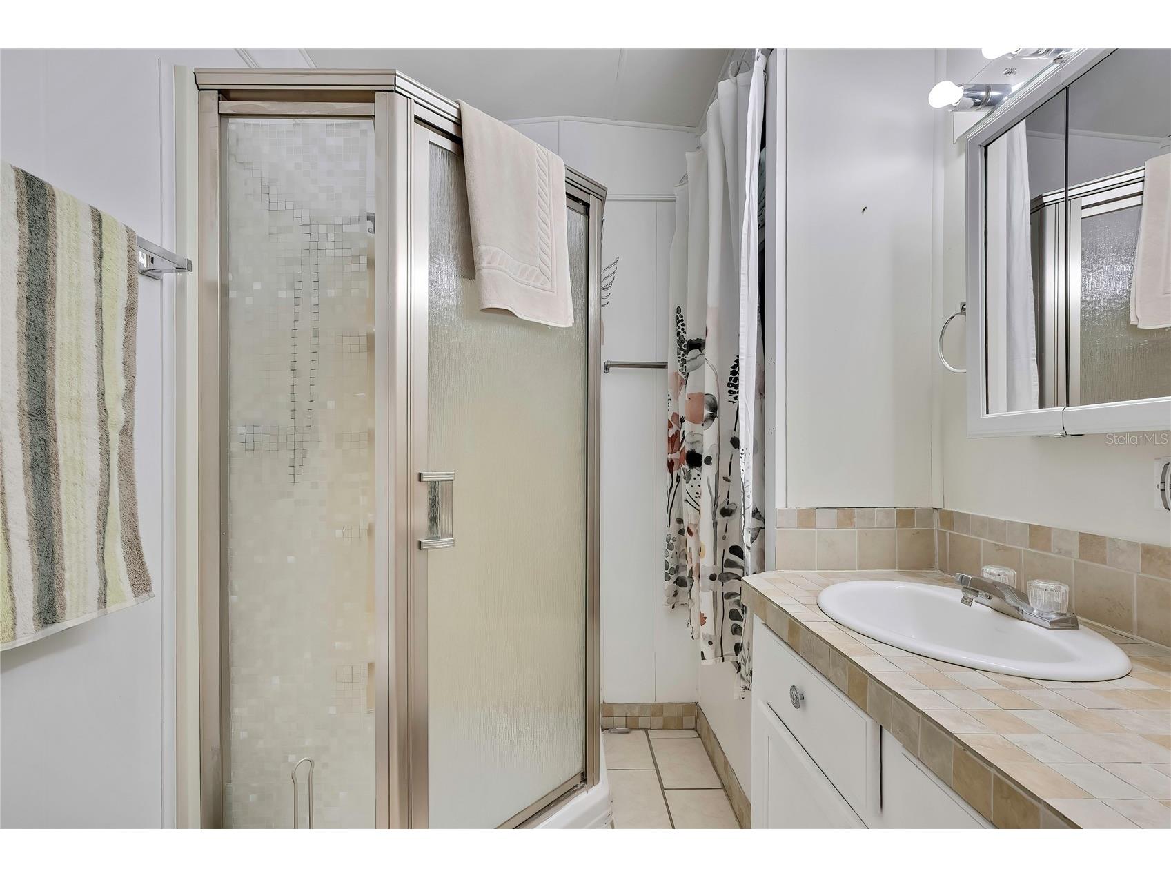 800 32nd Avenue S #606 Saint Petersburg FL 33705 TB8505505 image8