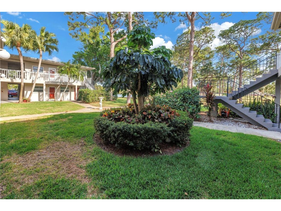 800 71st Avenue N #10 Saint Petersburg FL 33702 TB8409483 image25