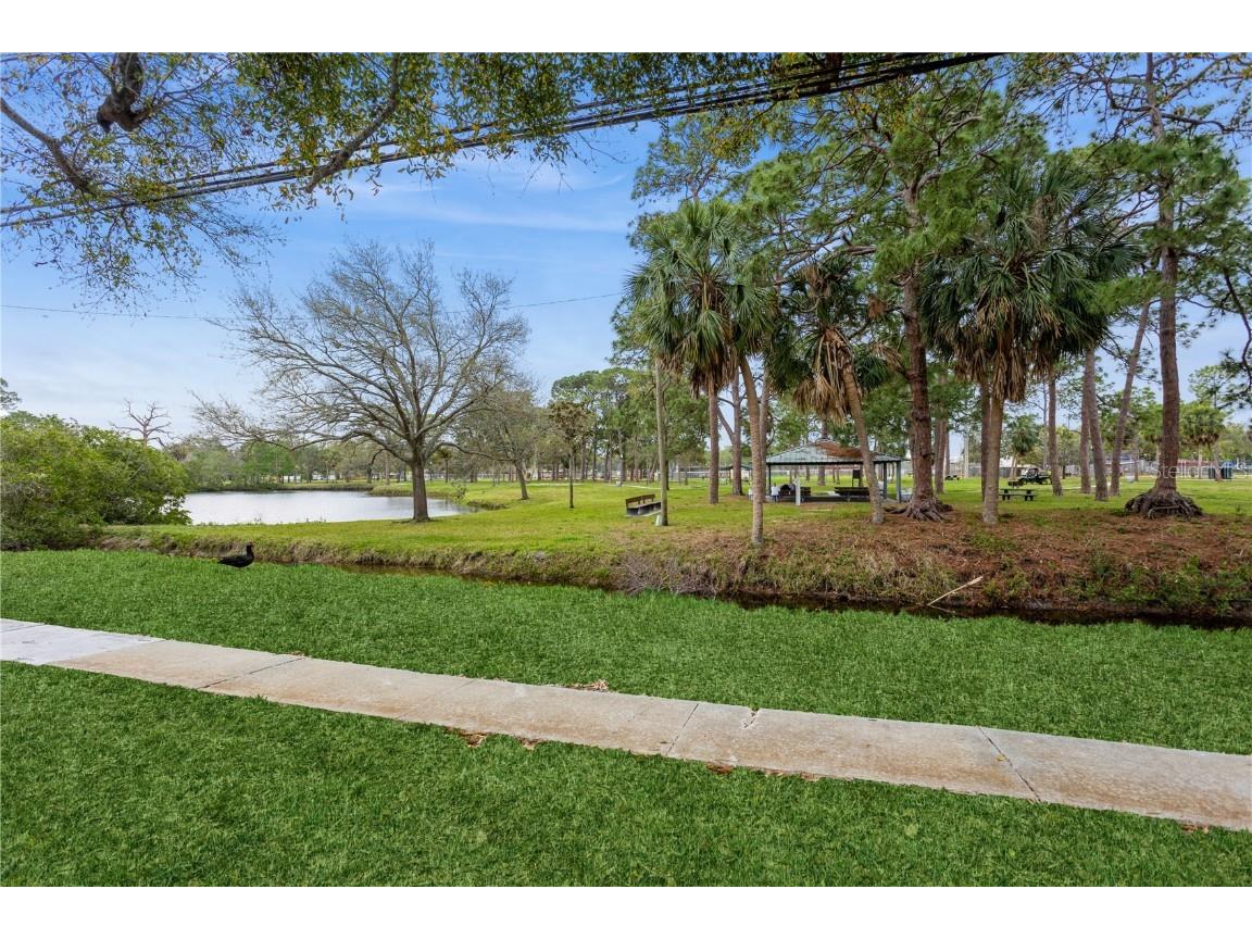 800 71st Avenue N #8 Saint Petersburg FL 33702 TB8354271 image28