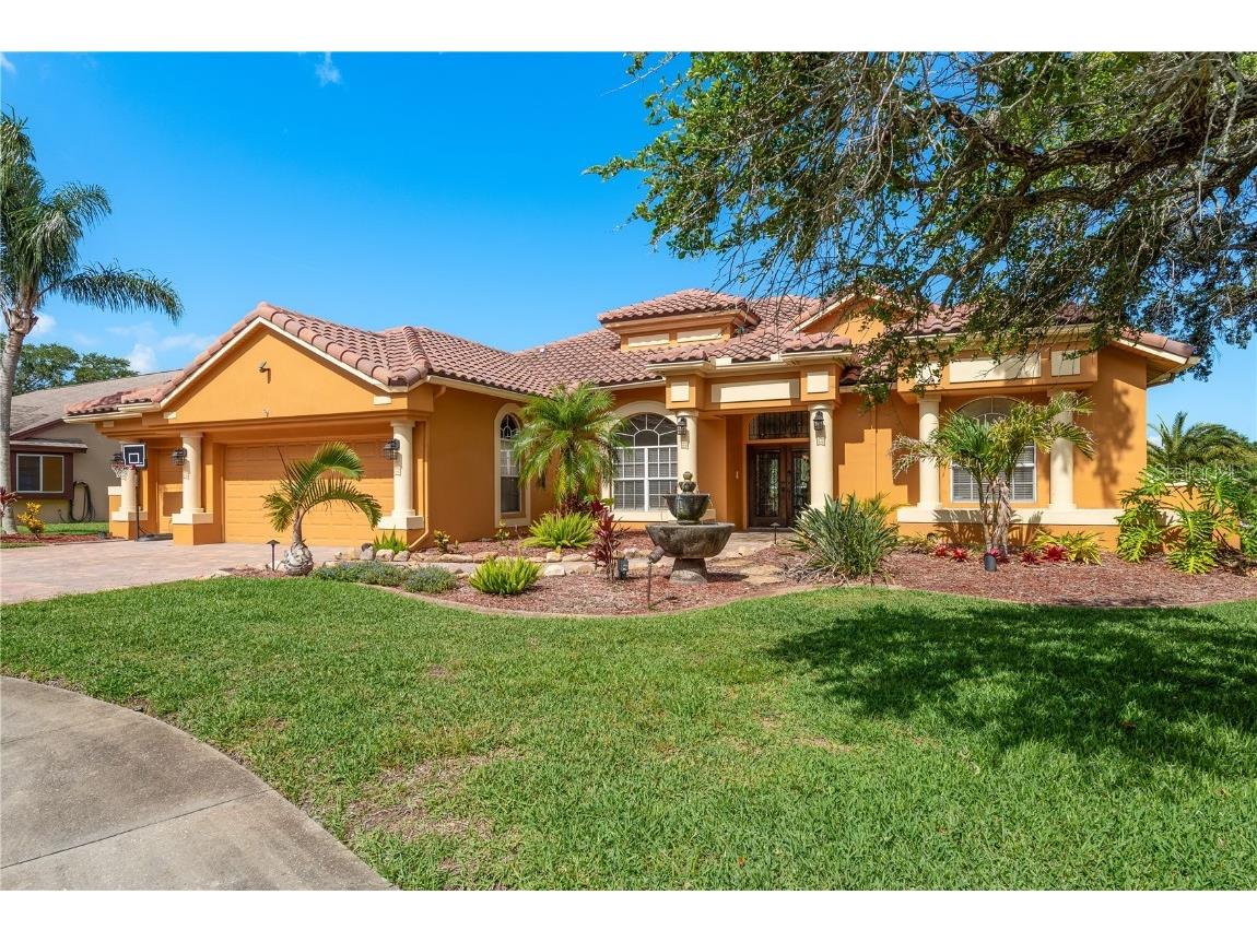 800 Belted Kingfisher Drive S Palm Harbor FL 34683 TB8388013 image1