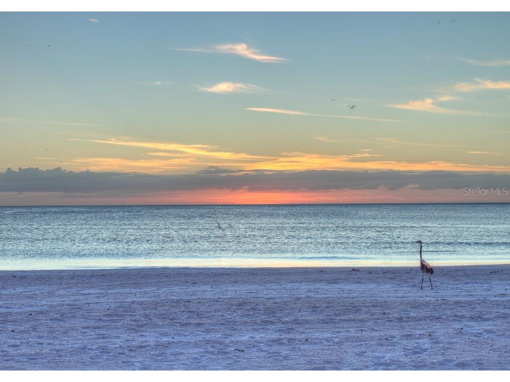 800 Benjamin Franklin Drive #704 Sarasota FL 34236 A4162708 image24