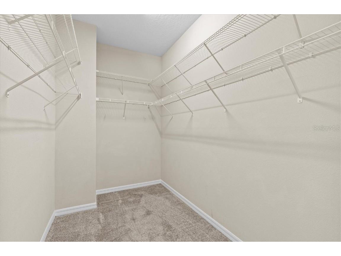 800 Callista Cay Loop Tarpon Springs FL 34689 TB8381932 image22