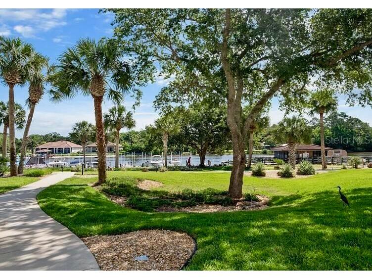 800 Canopy Walk Lane #822 Palm Coast FL 32137 O6289858 image36