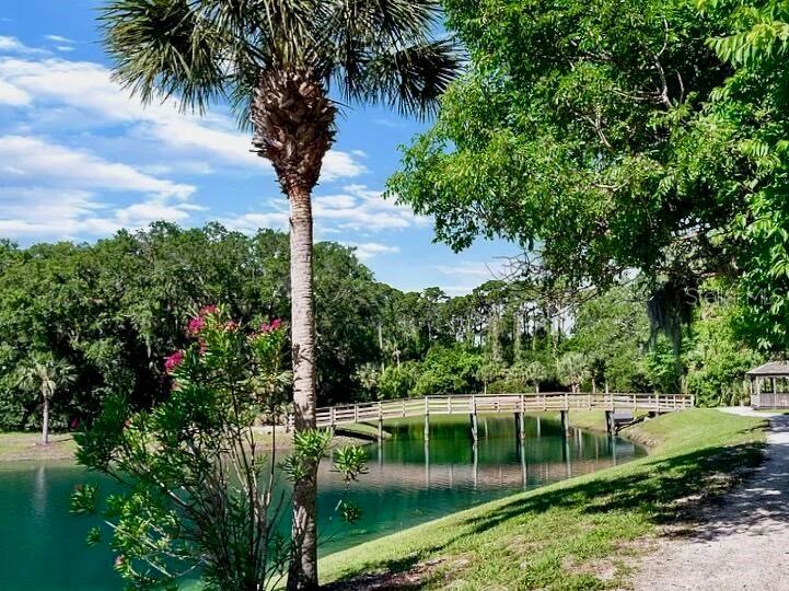 800 Canopy Walk Lane #822 Palm Coast FL 32137 O6289858 image41