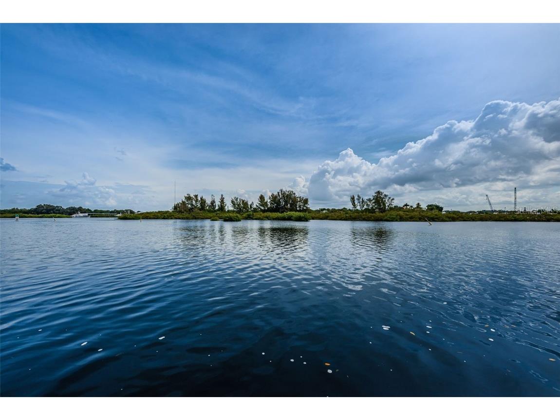 800 Chesapeake Drive #12 Tarpon Springs FL 34689 - TARPON BAYOU KRAMER BAYOU TB8459159 image79