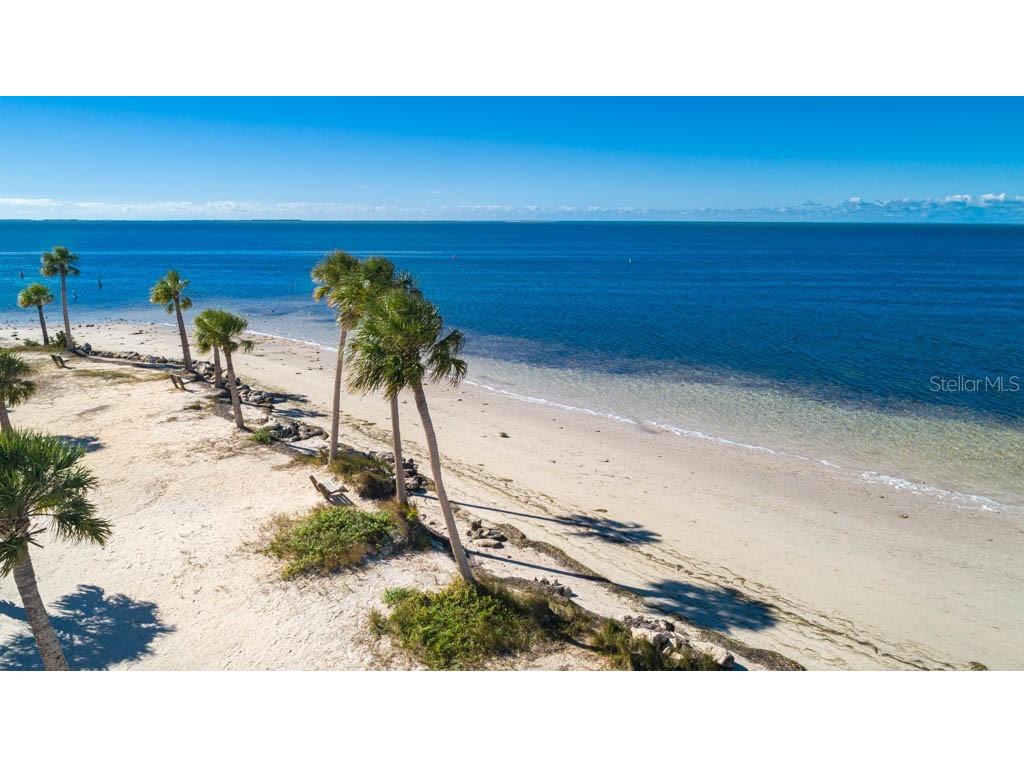 800 Chesapeake Drive #62 Tarpon Springs FL 34689 TB8503084 image42