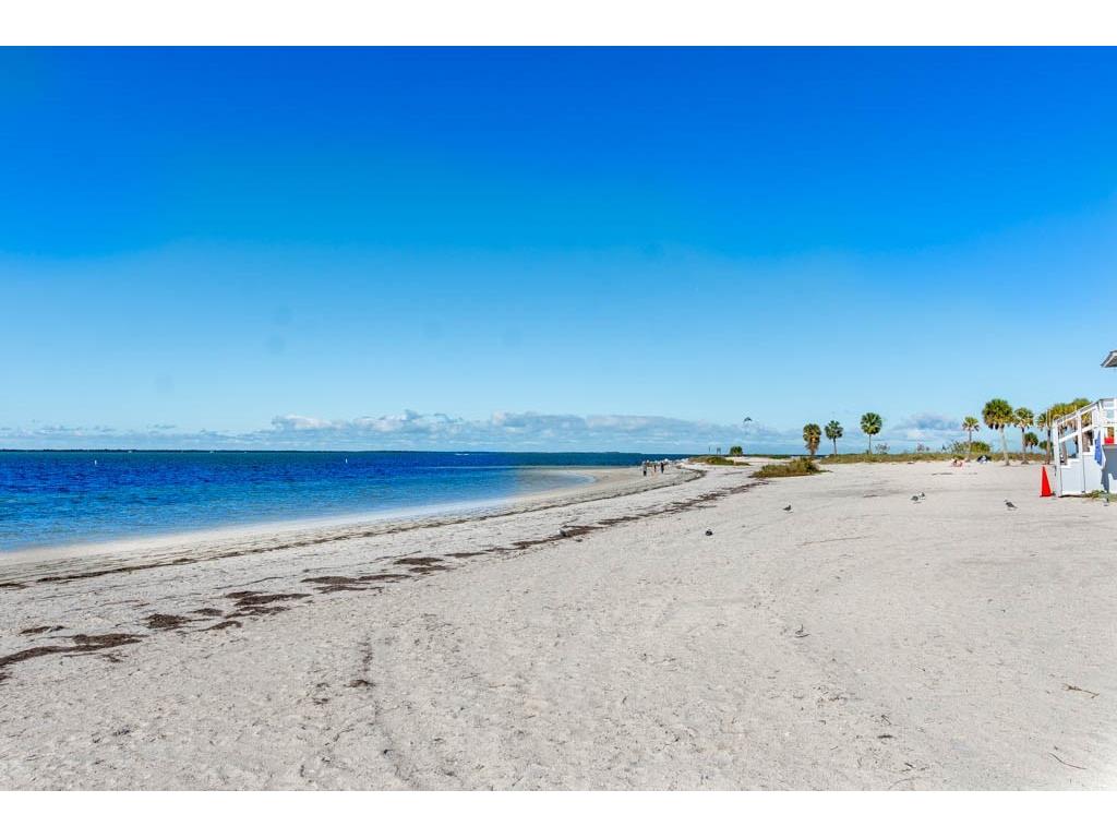 800 Chesapeake Drive #62 Tarpon Springs FL 34689 TB8503084 image43