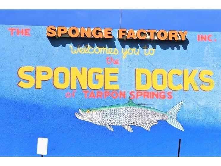 800 Chesapeake Drive #62 Tarpon Springs FL 34689 TB8503084 image46