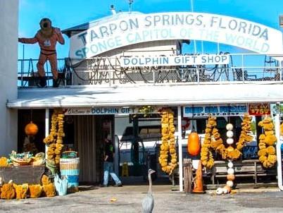 800 Chesapeake Drive #62 Tarpon Springs FL 34689 TB8503084 image48