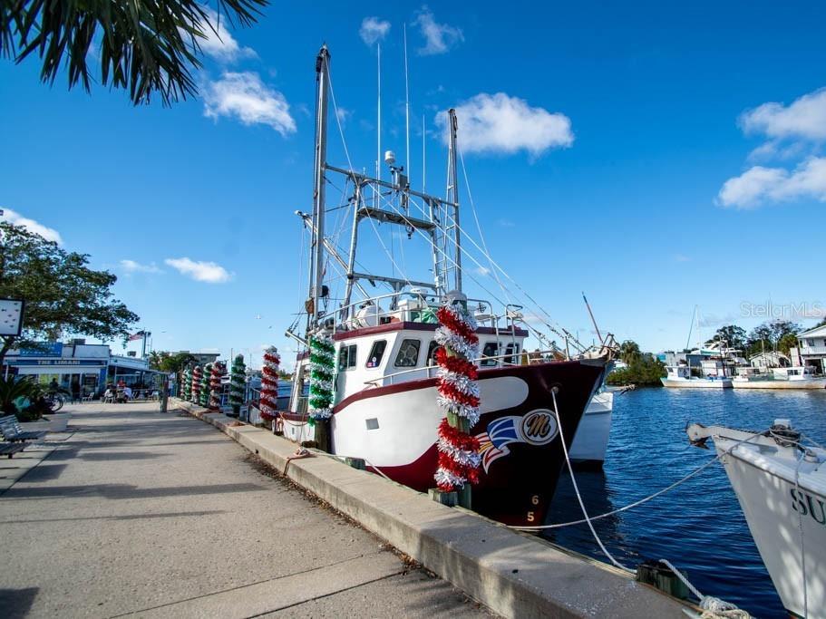 800 Chesapeake Drive #62 Tarpon Springs FL 34689 TB8503084 image49