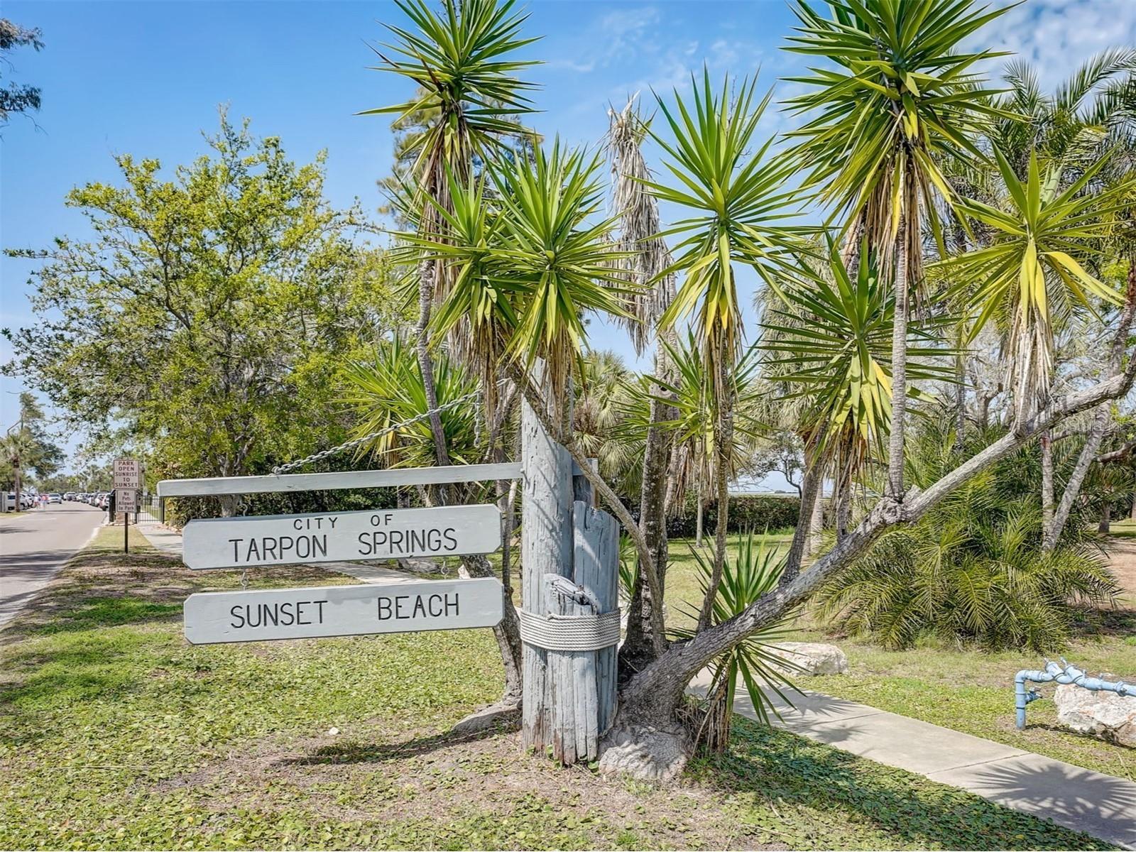 800 Chesapeake Drive #62 Tarpon Springs FL 34689 TB8503084 image50
