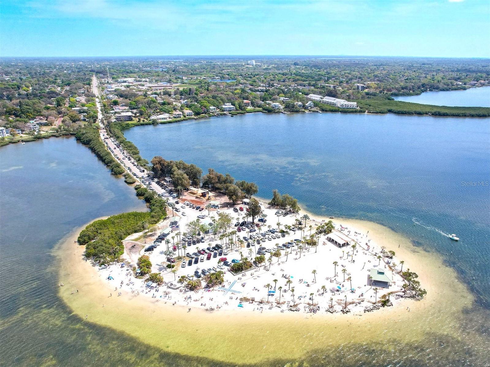 800 Chesapeake Drive #62 Tarpon Springs FL 34689 TB8503084 image51