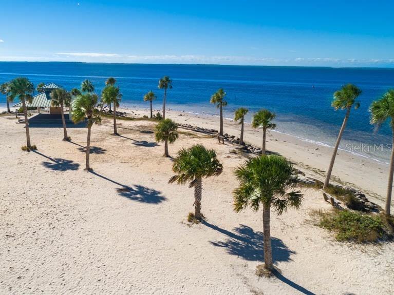 800 Chesapeake Drive #62 Tarpon Springs FL 34689 TB8503084 image52