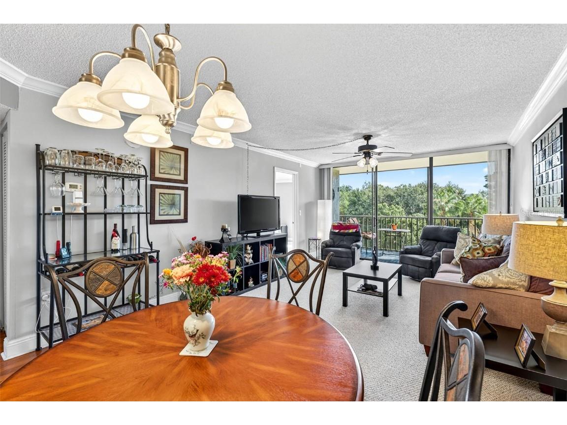 800 Cove Cay Drive #4D Clearwater FL 33760 TB8445736 image19