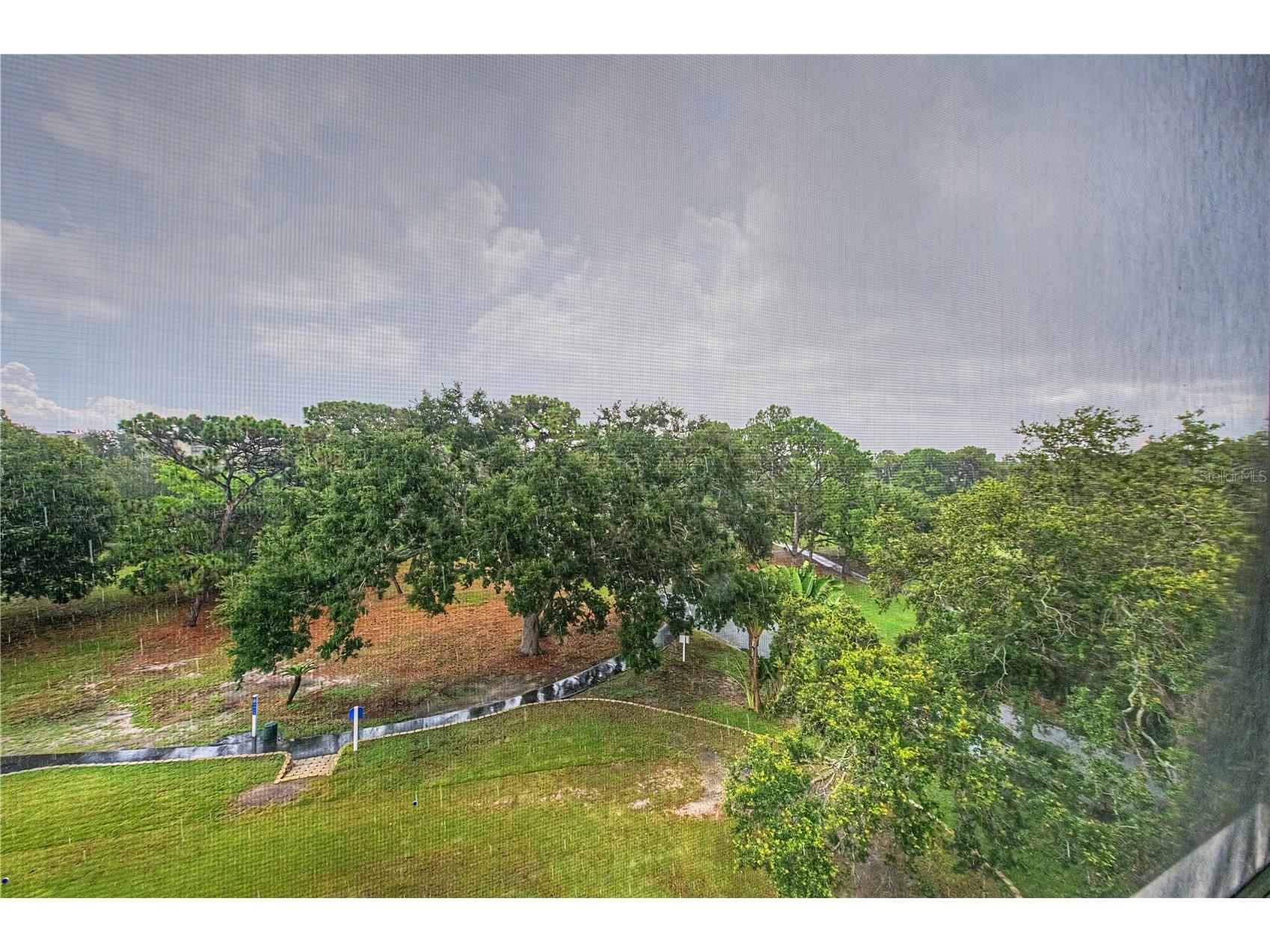 800 Cove Cay Drive #5G Clearwater FL 33760 - TAMPA BAY TB8526150 image35