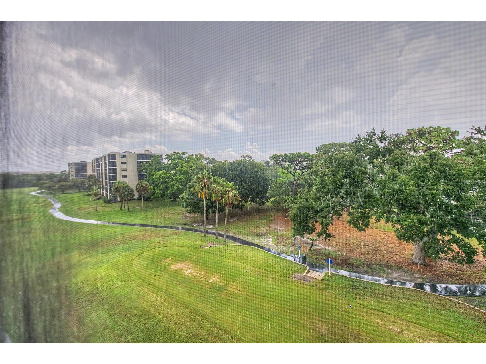 800 Cove Cay Drive #5G Clearwater FL 33760 - TAMPA BAY TB8526150 image36