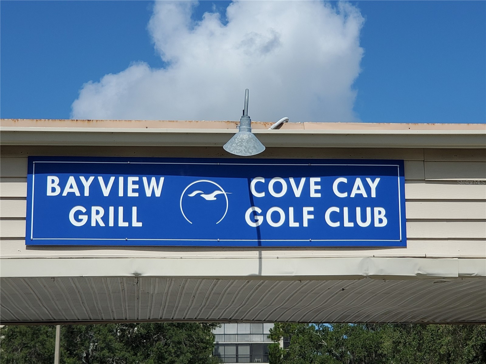 800 Cove Cay Drive #5G Clearwater FL 33760 - TAMPA BAY TB8526150 image51