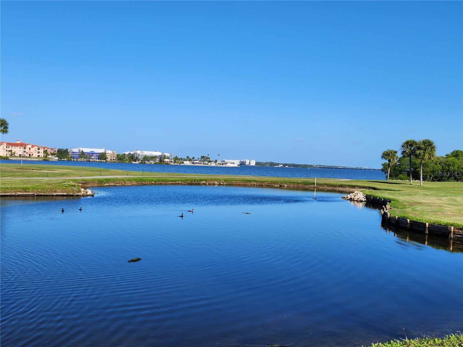 800 Cove Cay Drive #5G Clearwater FL 33760 - TAMPA BAY TB8526150 image52