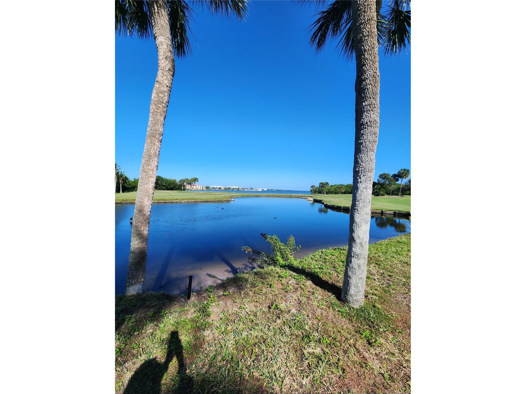 800 Cove Cay Drive #5G Clearwater FL 33760 - TAMPA BAY TB8526150 image53