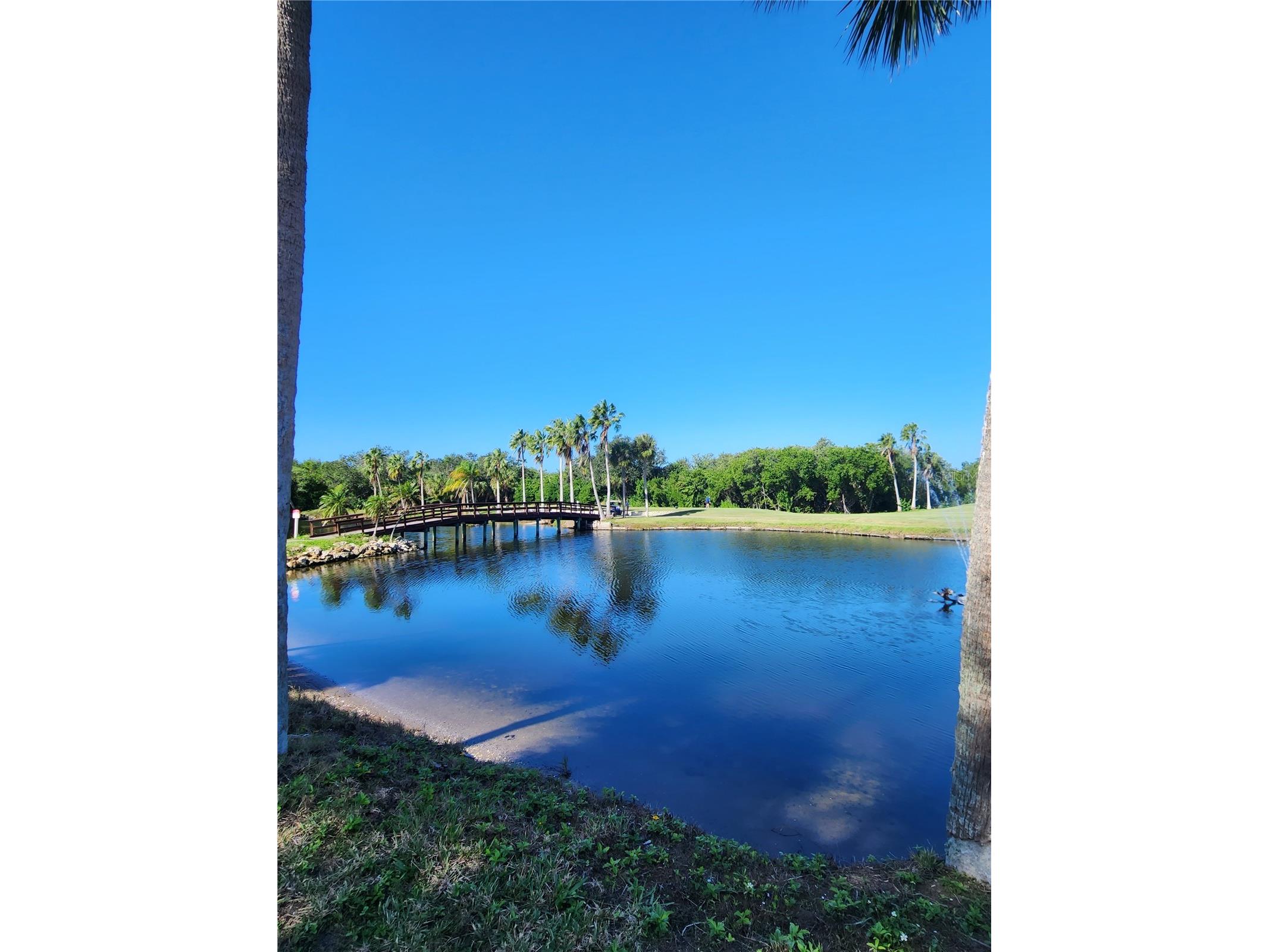 800 Cove Cay Drive #5G Clearwater FL 33760 - TAMPA BAY TB8526150 image54