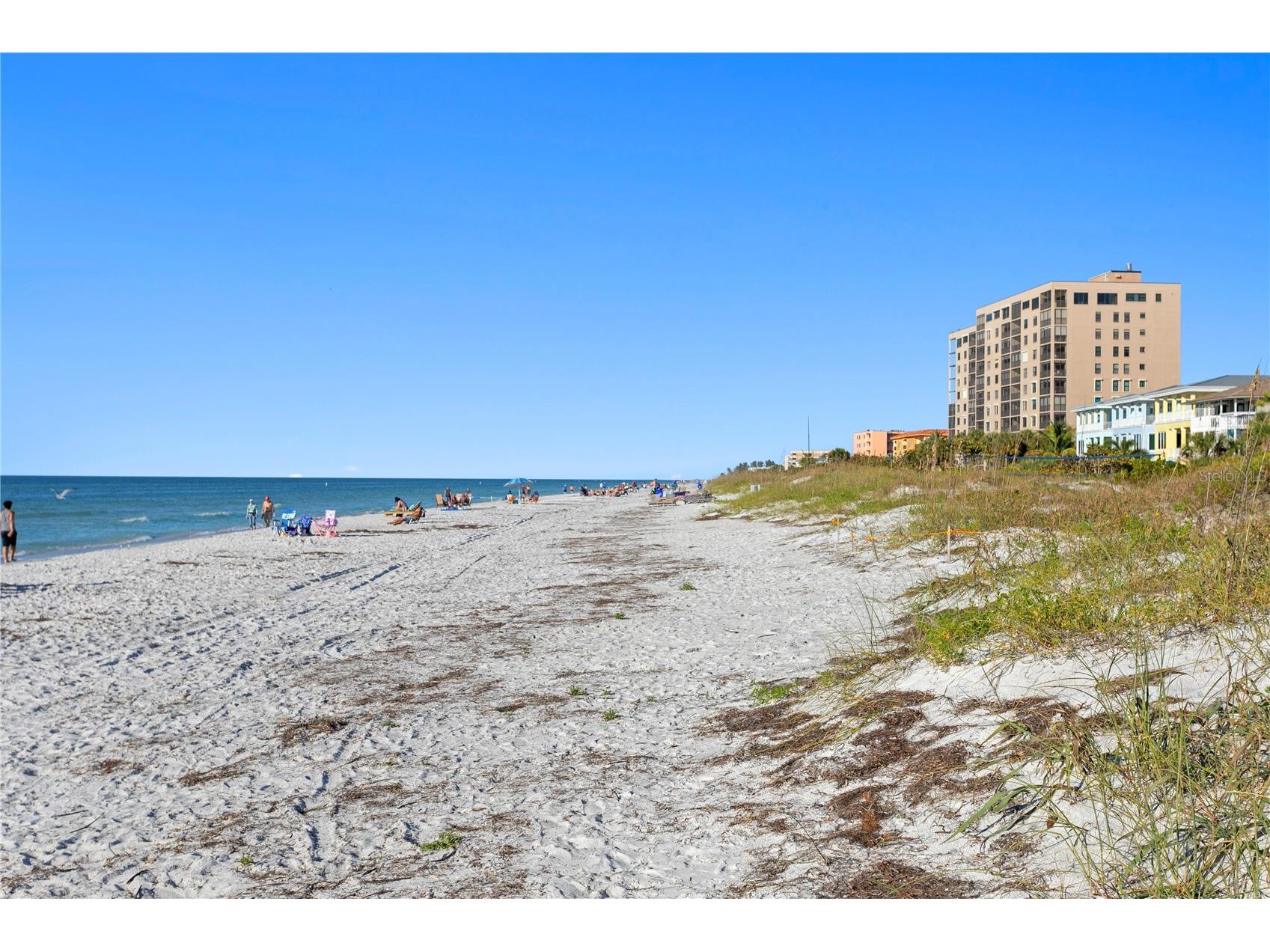 800 Gulf Boulevard #5 Indian Rocks Beach FL 33785 TB8526908 image43
